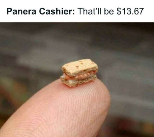 Very Small Finds (15 pics)