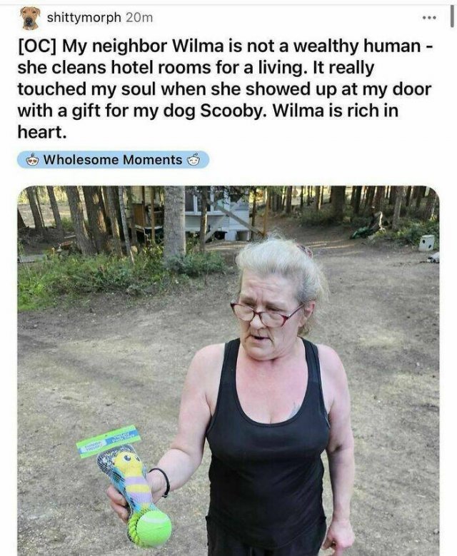 Heartwarming Situations (22 pics)