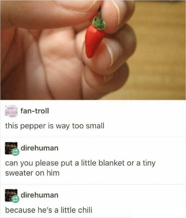 Very Small Finds (15 pics)