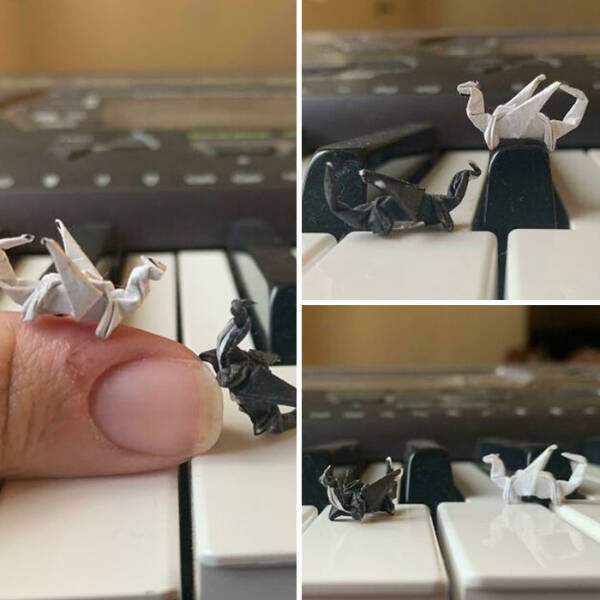 Very Small Finds (15 pics)