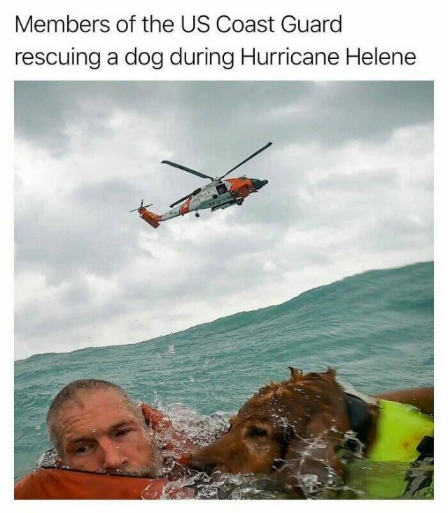 Heartwarming Situations (22 pics)