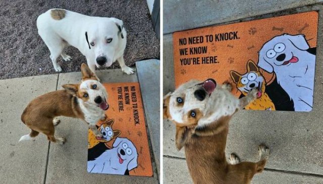 Funny Doormats (25 pics)