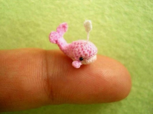 Very Small Finds (15 pics)