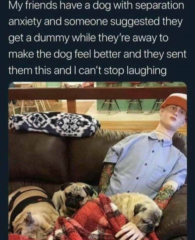Heartwarming Situations (22 pics)