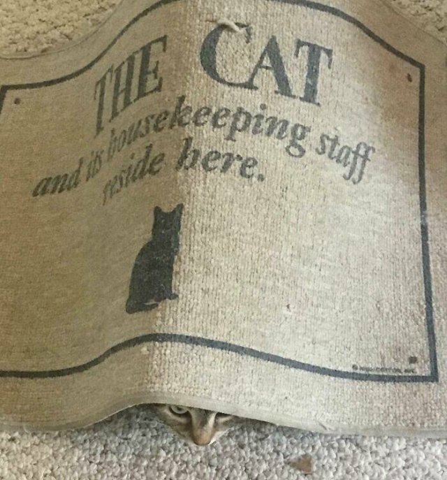 Funny Doormats (25 pics)