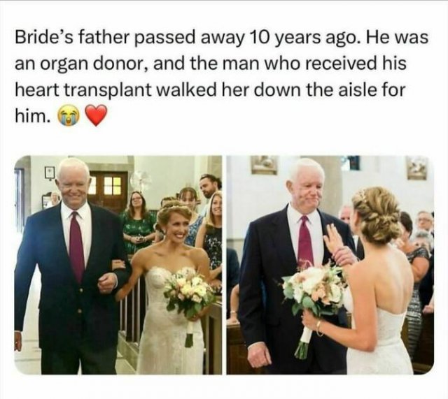 Heartwarming Situations (22 pics)