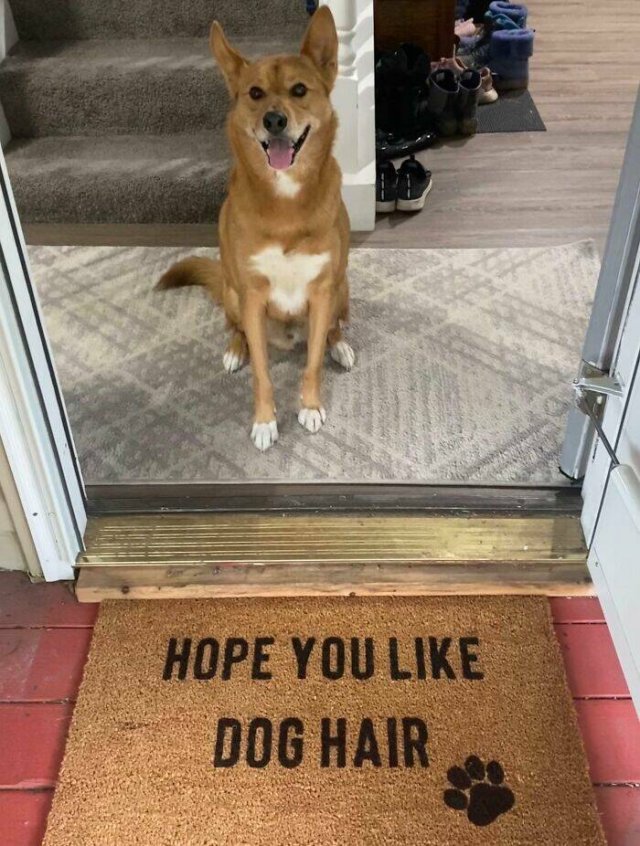Funny Doormats (25 pics)
