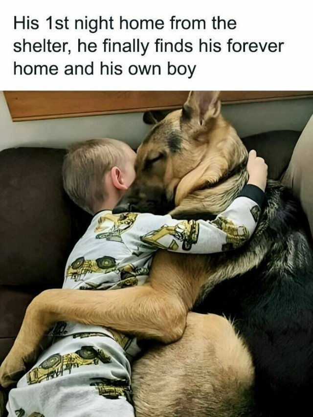 Heartwarming Situations (22 pics)