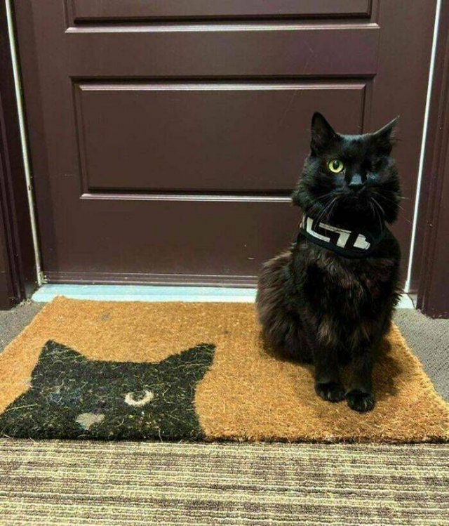 Funny Doormats (25 pics)