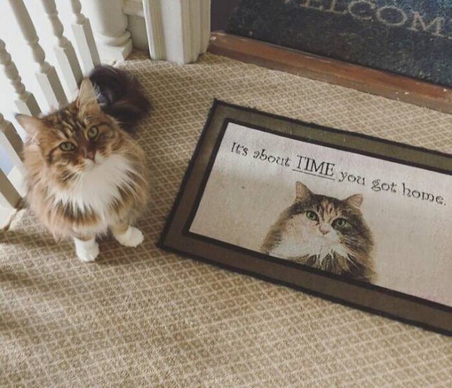 Funny Doormats (25 pics)
