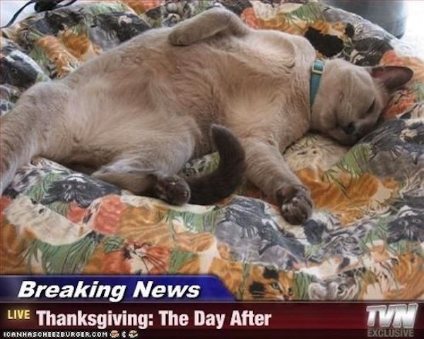 Thanksgiving Memes (30 pics)