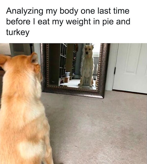 Thanksgiving Memes (30 pics)