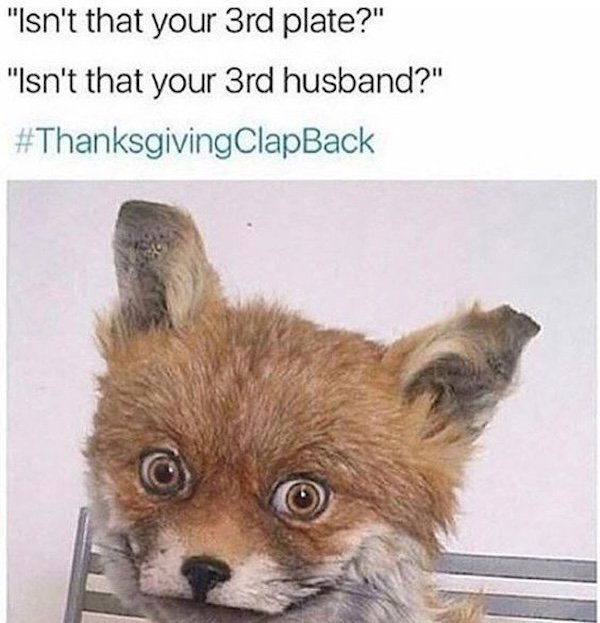 Thanksgiving Memes (30 pics)