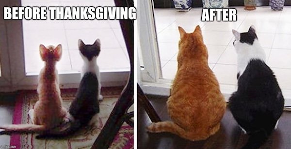 Thanksgiving Memes (30 pics)