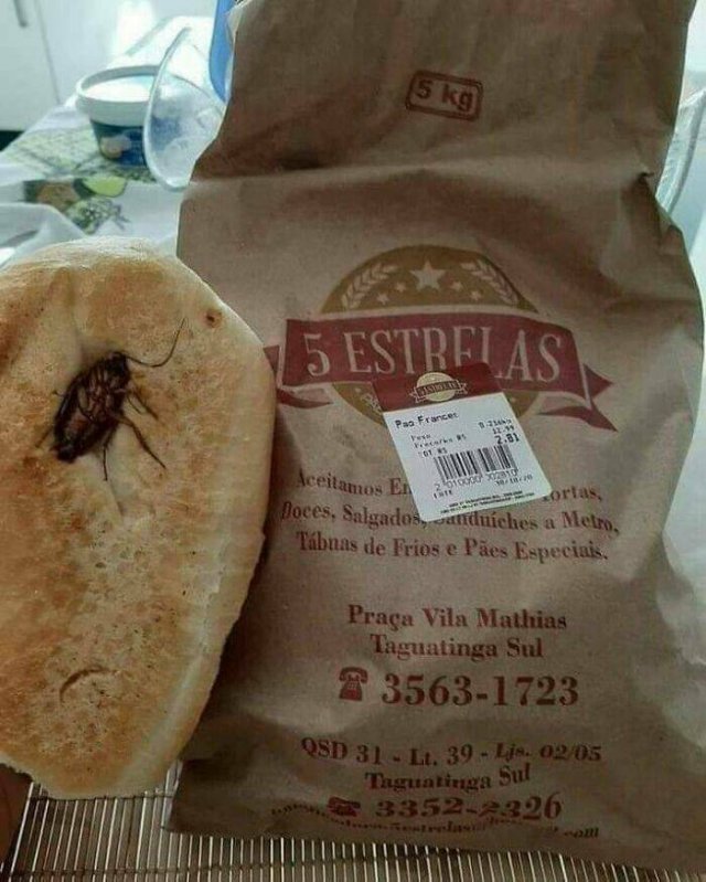 Weird Dishes (18 pics)