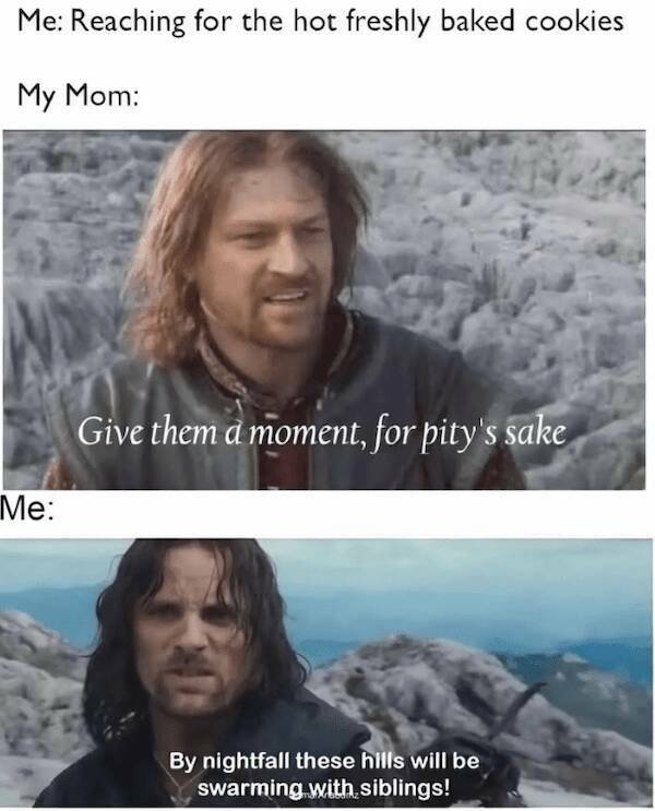 Memes For "The Lord Of The Rings"" Fans (20 pics)