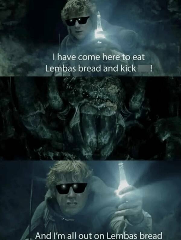 Memes For "The Lord Of The Rings"" Fans (20 pics)