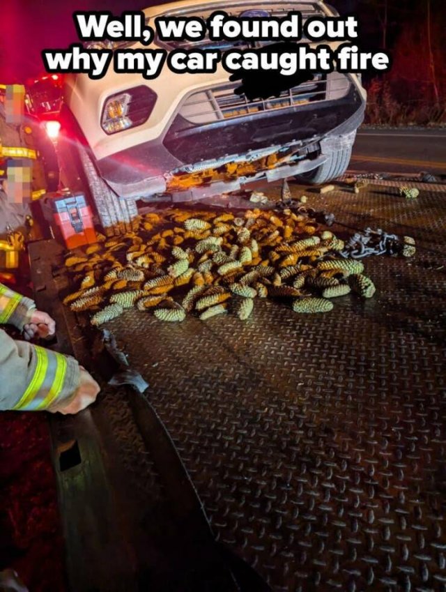 Bad Days Happen (25 pics)