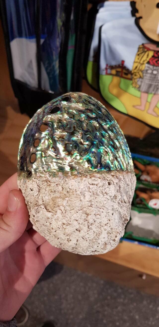 Interesting Finds (20 pics)