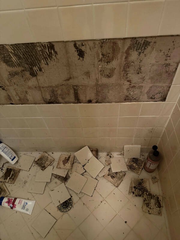 Bad Days Happen (25 pics)