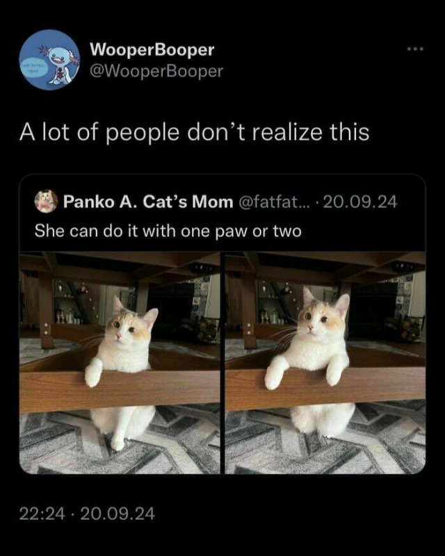 Funny Memes (23 pics)