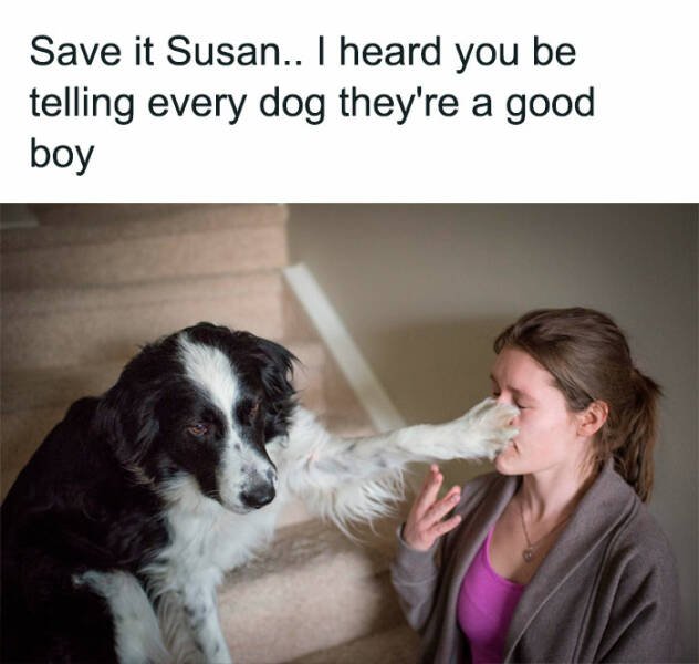 Memes For Dog Lovers (26 pics)