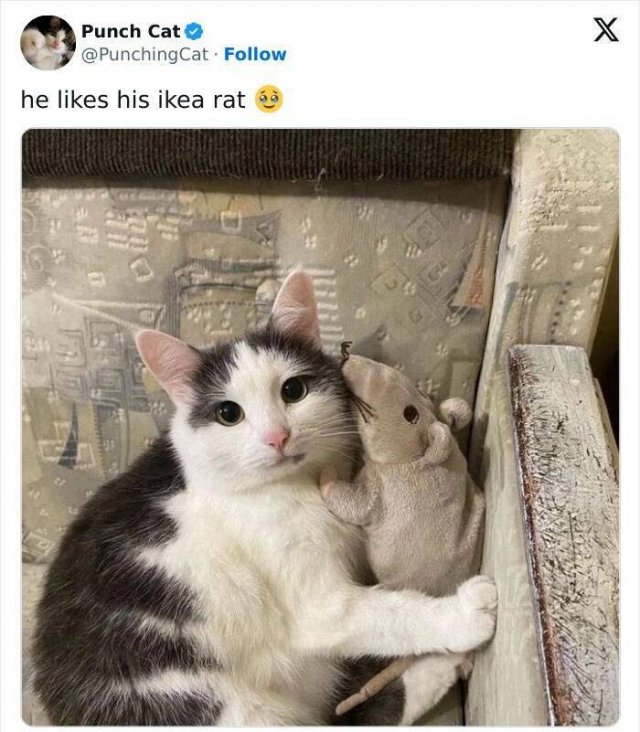 Funny Memes (23 pics)
