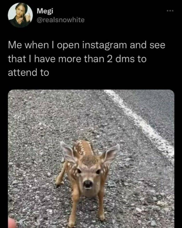 Funny Memes (23 pics)