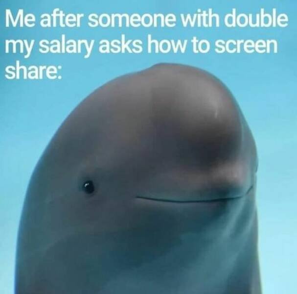 Memes About IT (23 pics)