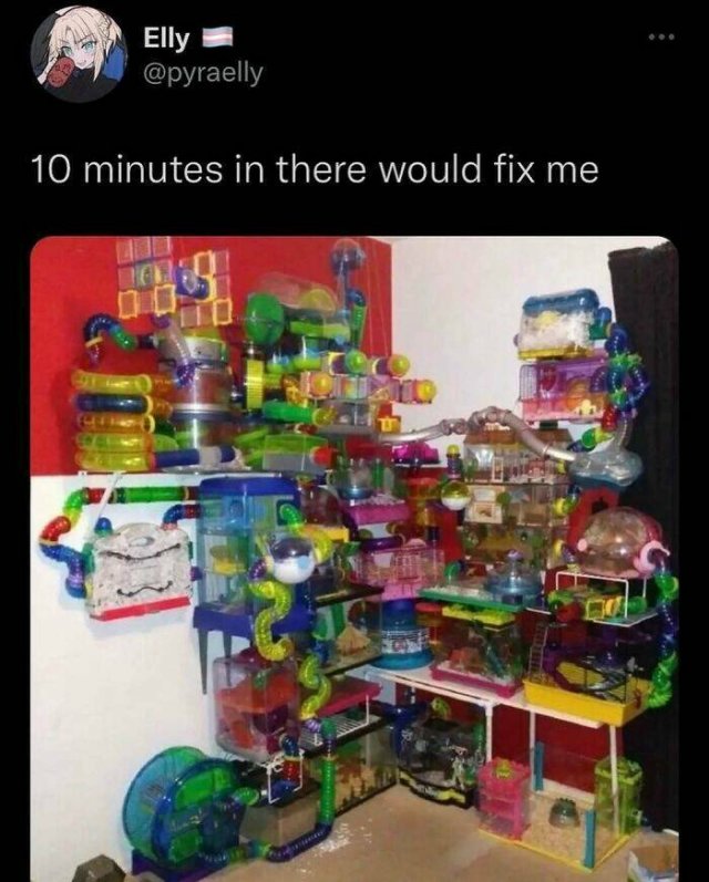 Funny Memes (23 pics)
