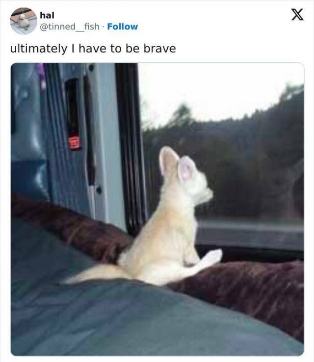 Funny Memes (23 pics)