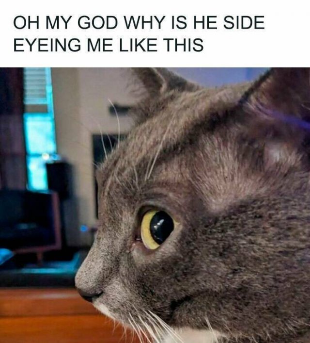 Funny Memes (23 pics)