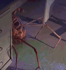 Creepy Facts (14 gifs) Creepy Facts (14 gifs)