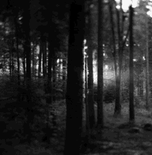 Creepy Facts (14 gifs) Creepy Facts (14 gifs)