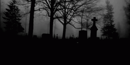 Creepy Facts (14 gifs) Creepy Facts (14 gifs)
