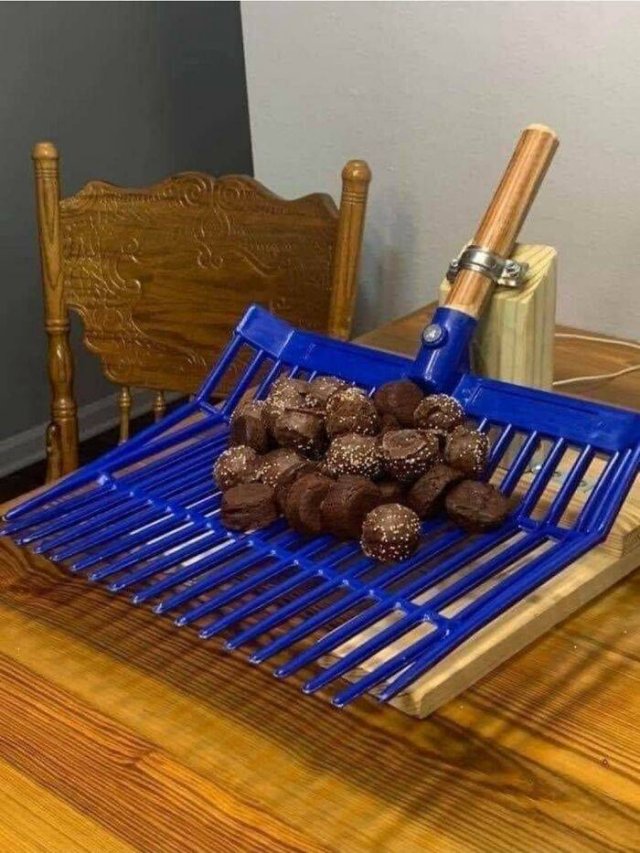 Strange Food Serving (28 pics)