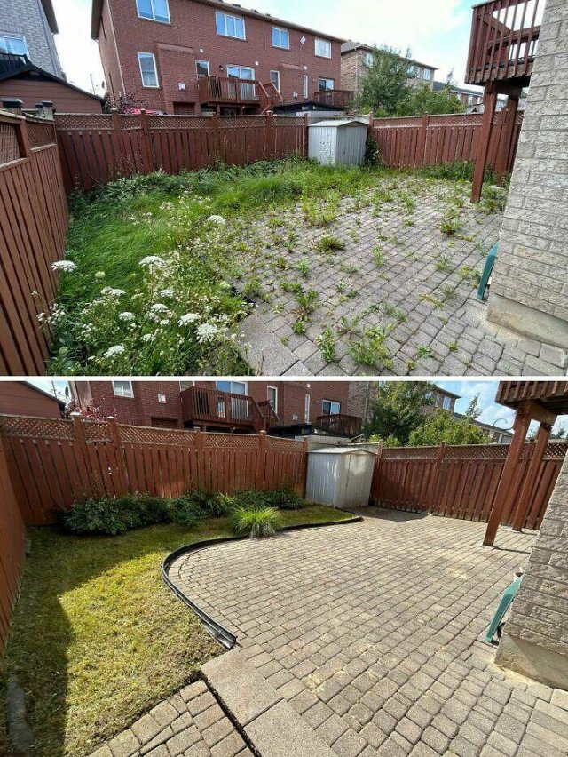 Before And After Cleaning (25 pics)