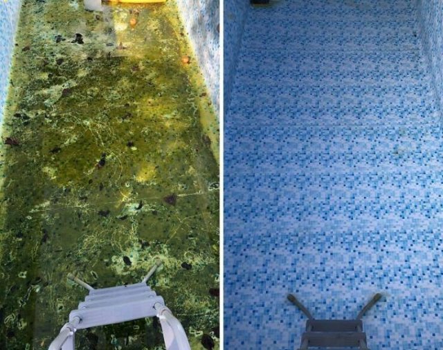 Before And After Cleaning (25 pics)