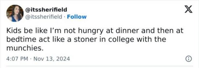 Funny Parenting Tweets (25 pics)