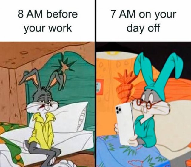 Work Memes (24 pics)
