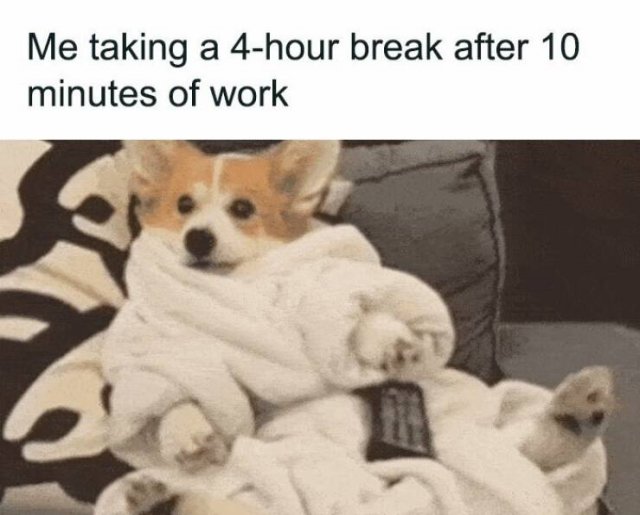 Work Memes (24 pics)