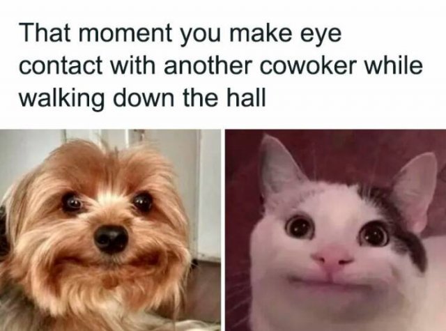 Work Memes (24 pics)