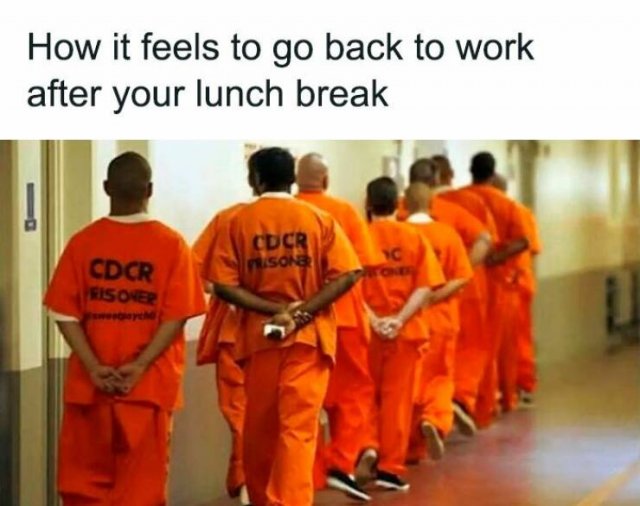 Work Memes (24 pics)