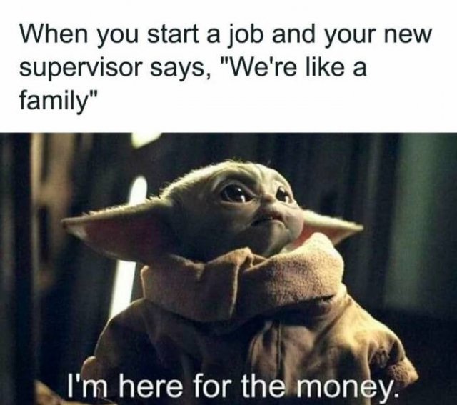 Work Memes (24 pics)