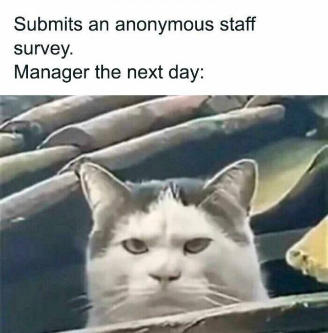 Work Memes (24 pics)