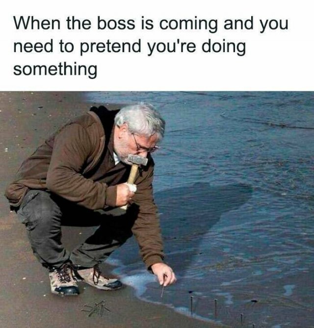 Work Memes (24 pics)