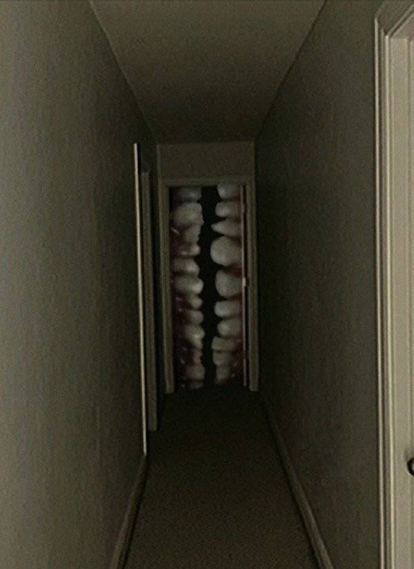 What Is Going On Here? (37 pics)