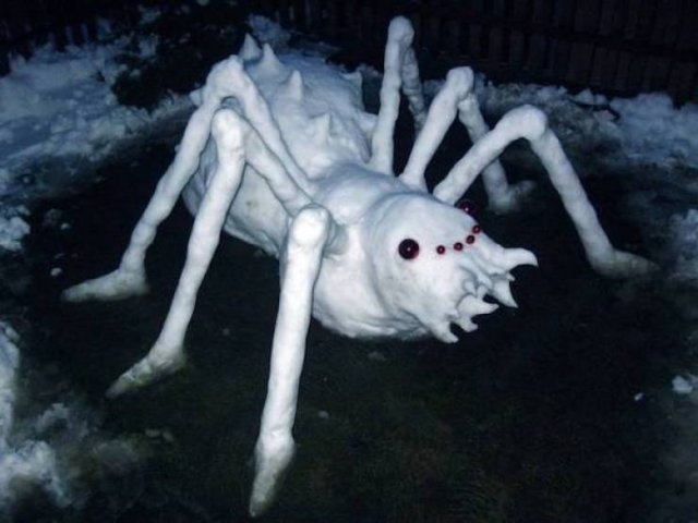 What Is Going On Here? (37 pics)