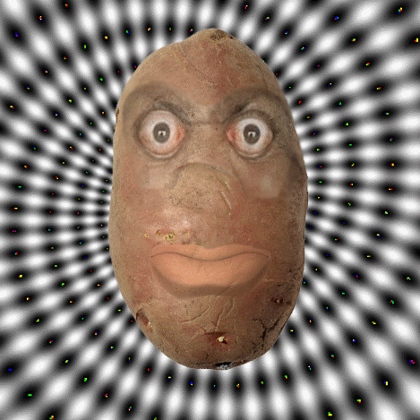 Random Facts (15 gifs) Random Facts (15 gifs)