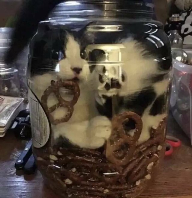 Funny Fails (17 pics)